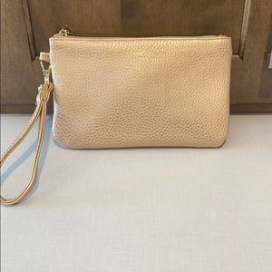 Adrienne Vittadini clutch with Charging pack